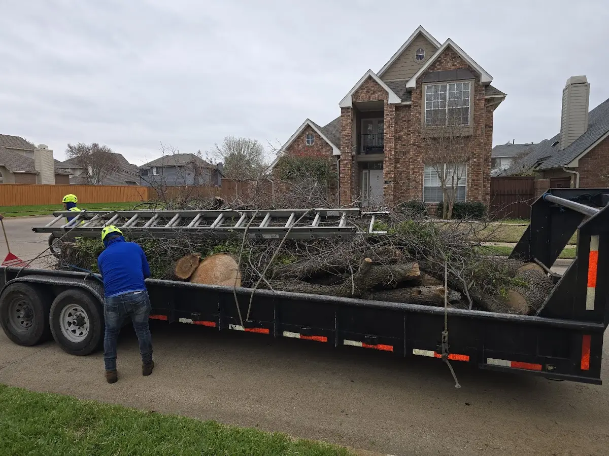 Expert Lot Clearing with proper safety equipment in Deerfield